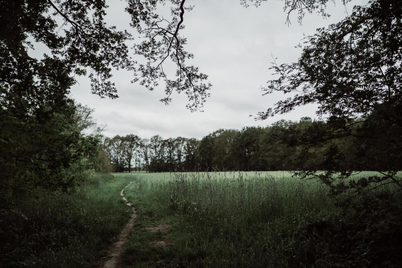 Chateauhotel De Havixhorst Schiphorst Zewnętrze zdjęcie